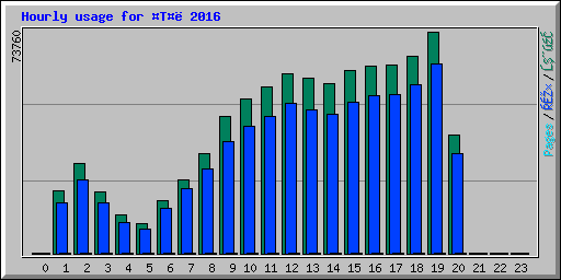 Hourly usage for T 2016